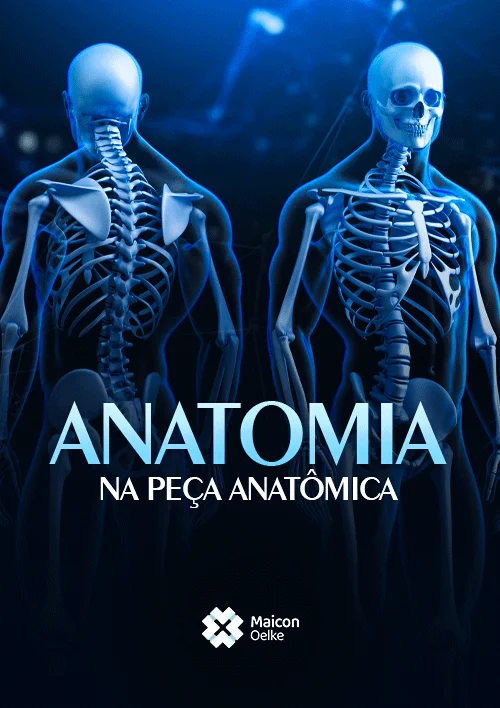 ANATOMIA NA PEÇA ANATÔMICA